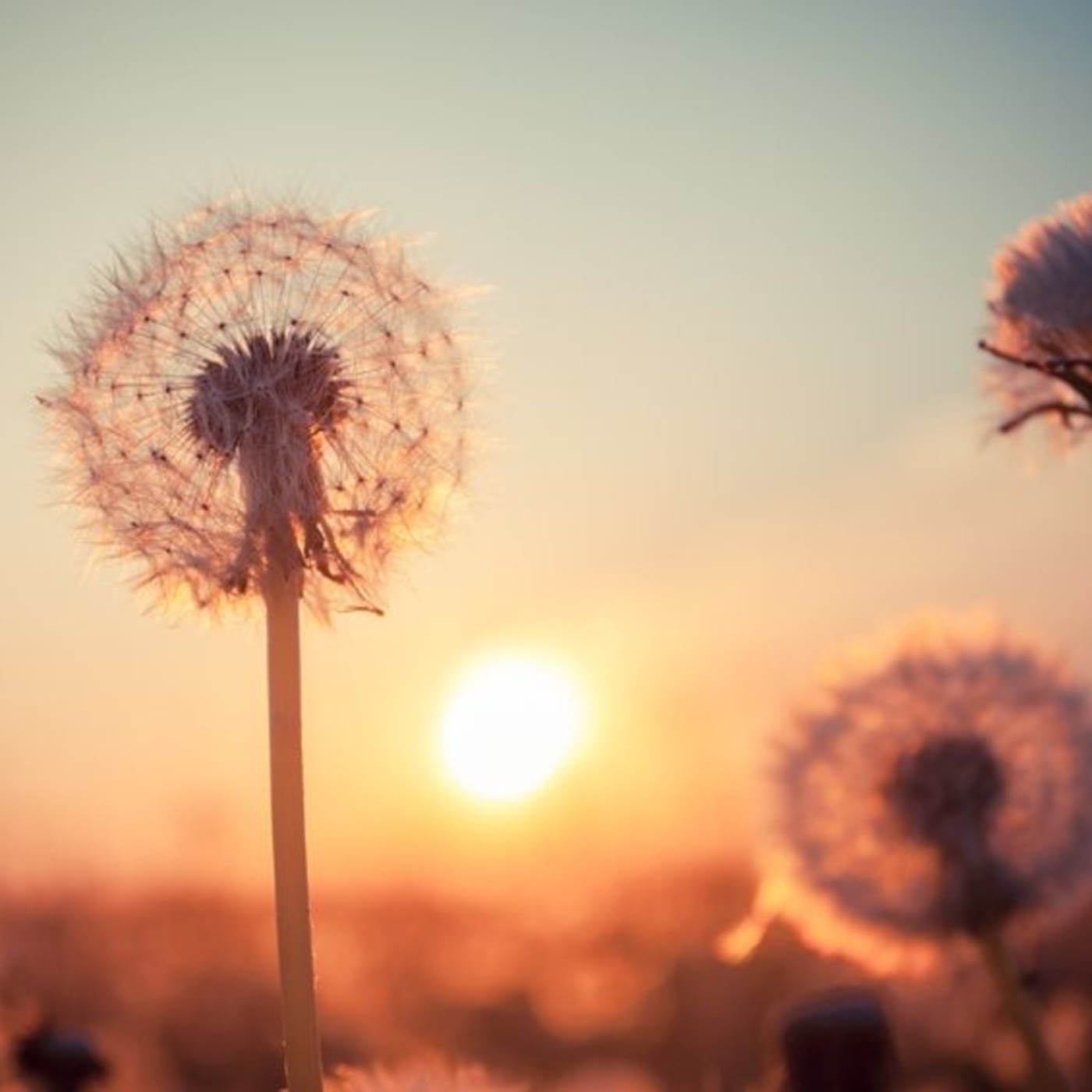 Reflexiones para gente despierta