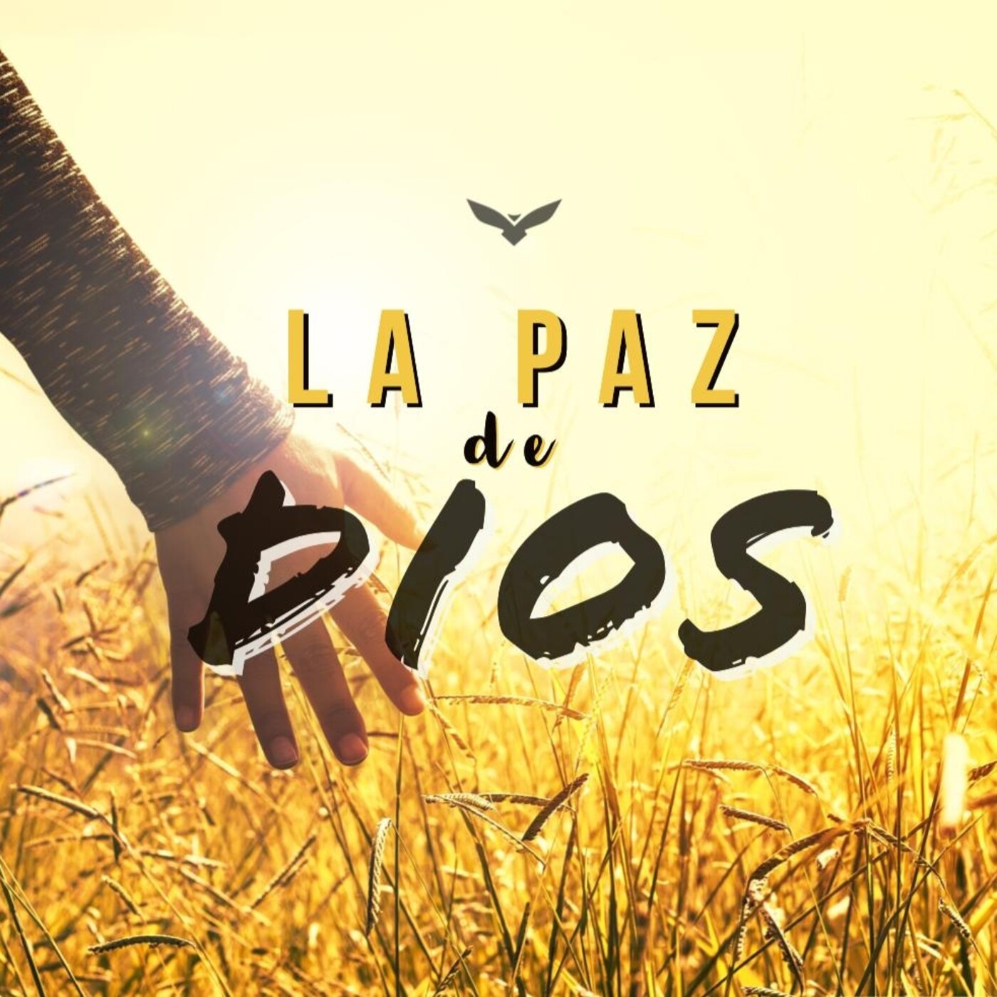 Palabra Diaria