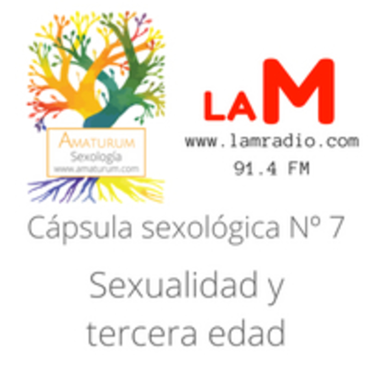 Sexualidad y tercera edad episode artwork