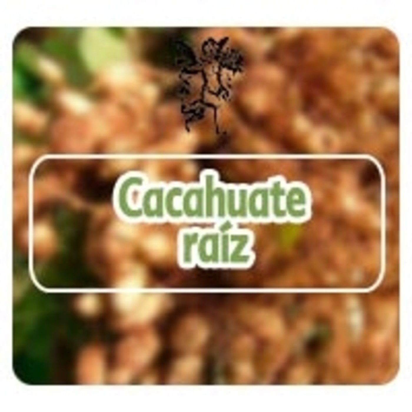 El Angel de tu Salud - CACAHUATE RAÍZ episode artwork
