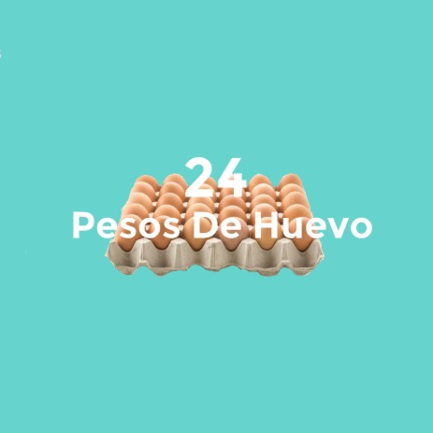 18: Tuvimos un sirenito.