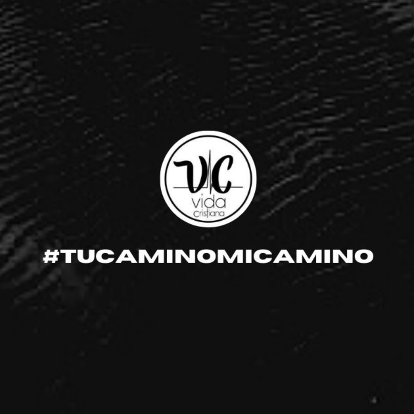 Vida Cristiana Puebla