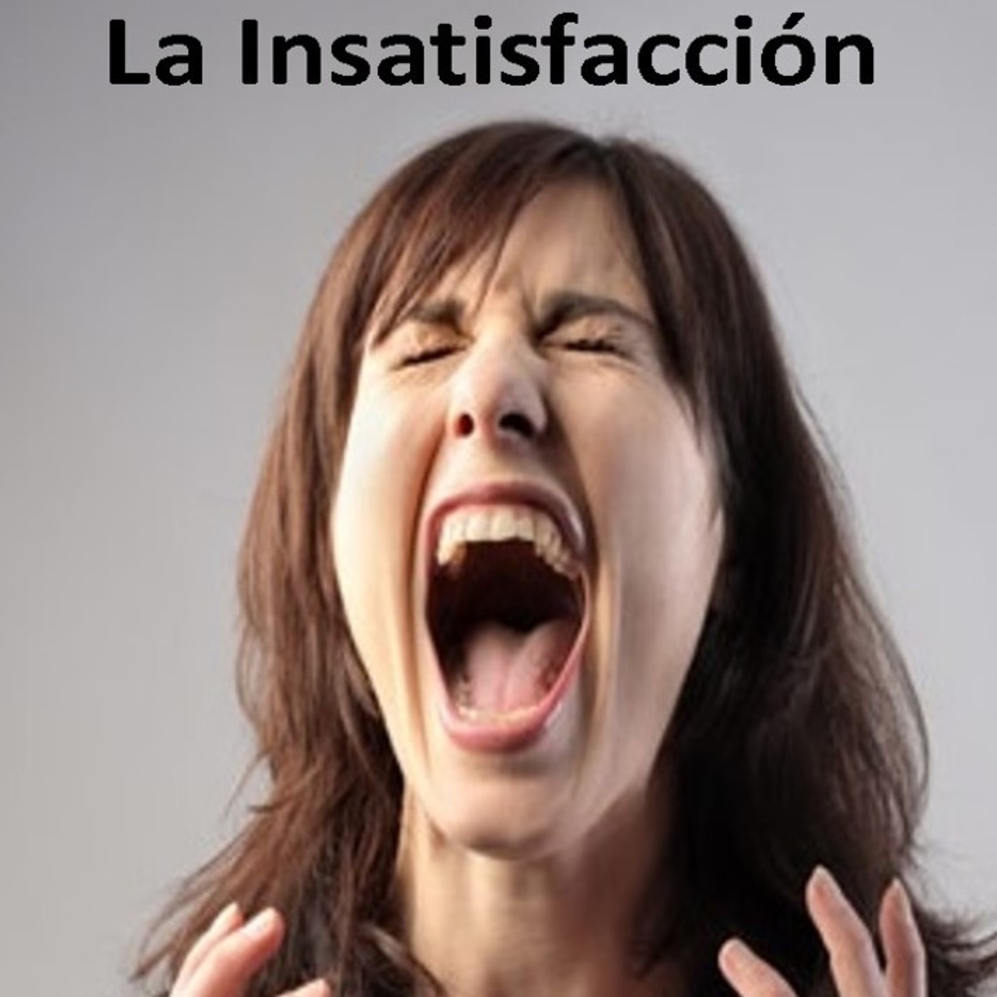 Jose Mansilla