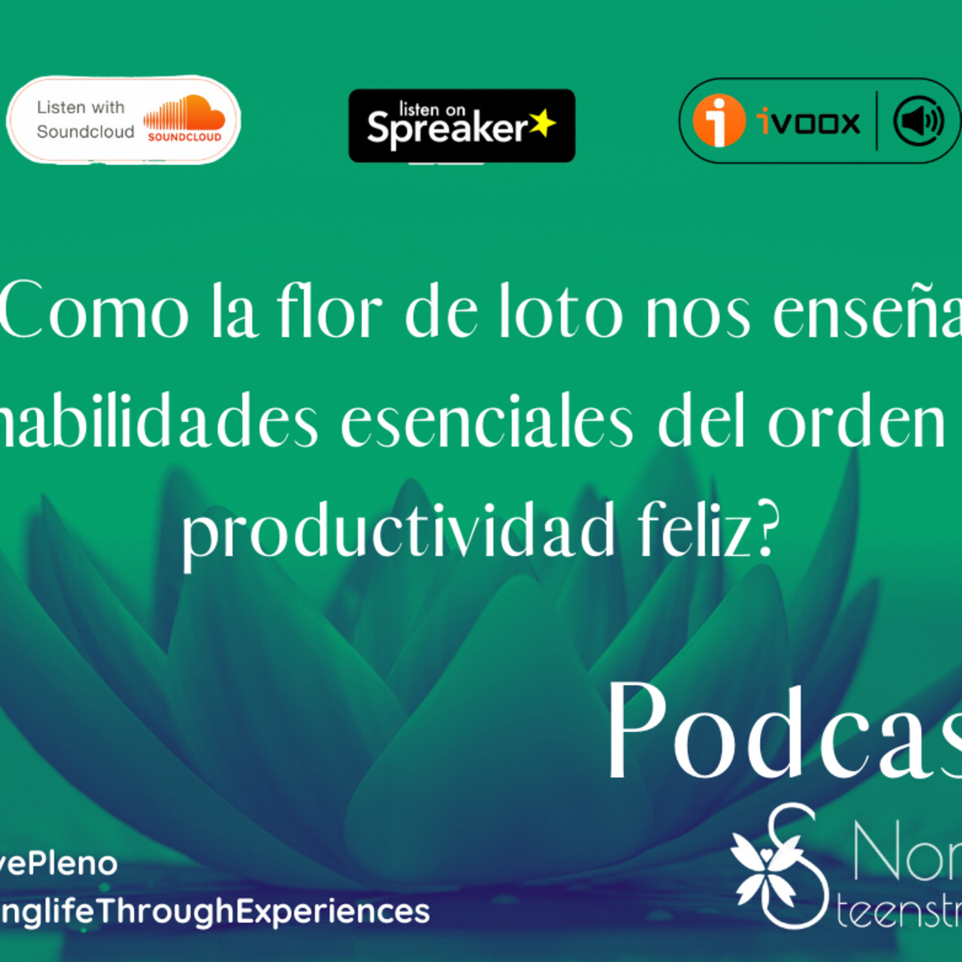 ¿Como la flor de loto nos enseña habilidades esenciales del orden y productividad feliz?