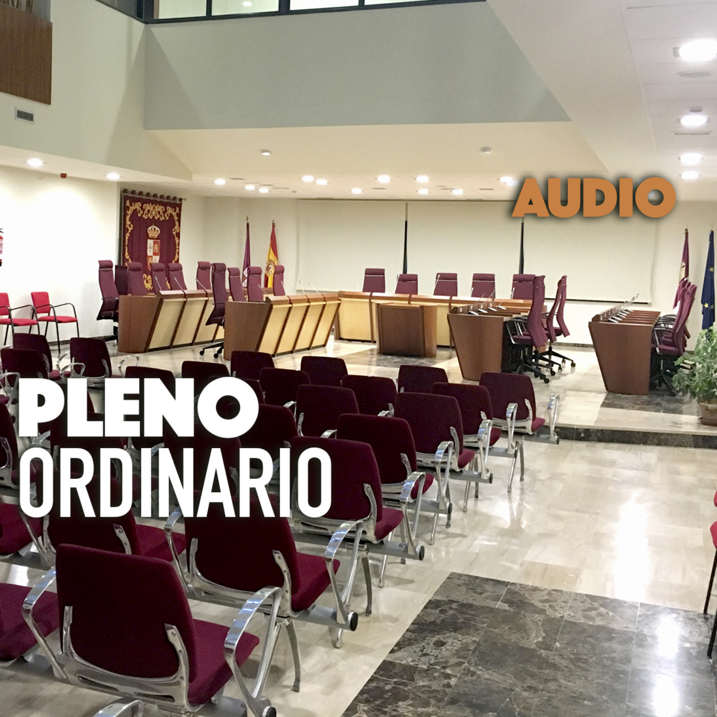 Pleno Ordinario 28/03/19. Ayuntamiento de Illescas. episode artwork