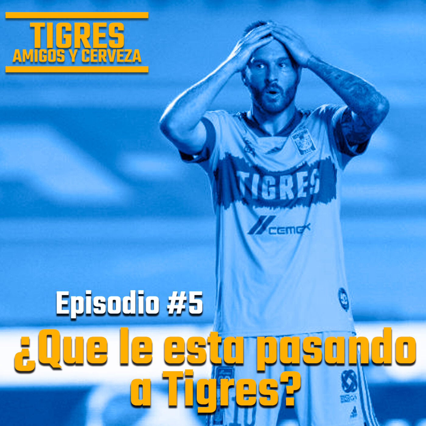 Tigres, Amigos y Cerveza