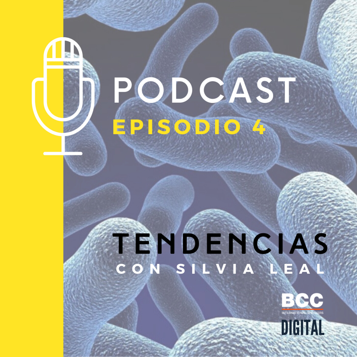 Tendencias con Silvia Leal