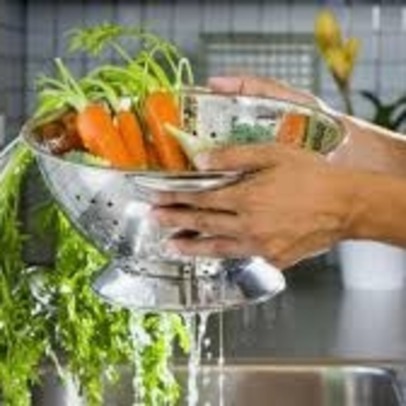 Tarde Interactiva - Nutrición