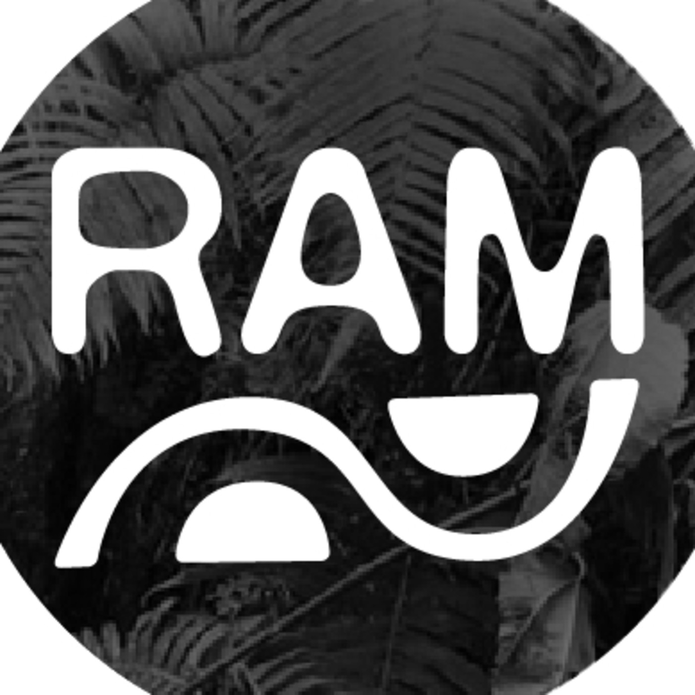 RAM 2017