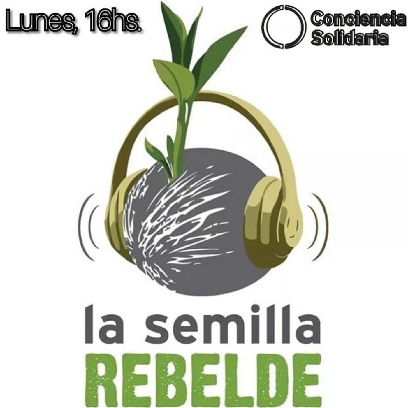 #LaSemillaRebelde 27.5.19 #ConcienciaSolidariaONG #Córdoba episode artwork