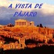A vista de Pájaro- Pequeña introducción a la Metafísica de Aristóteles