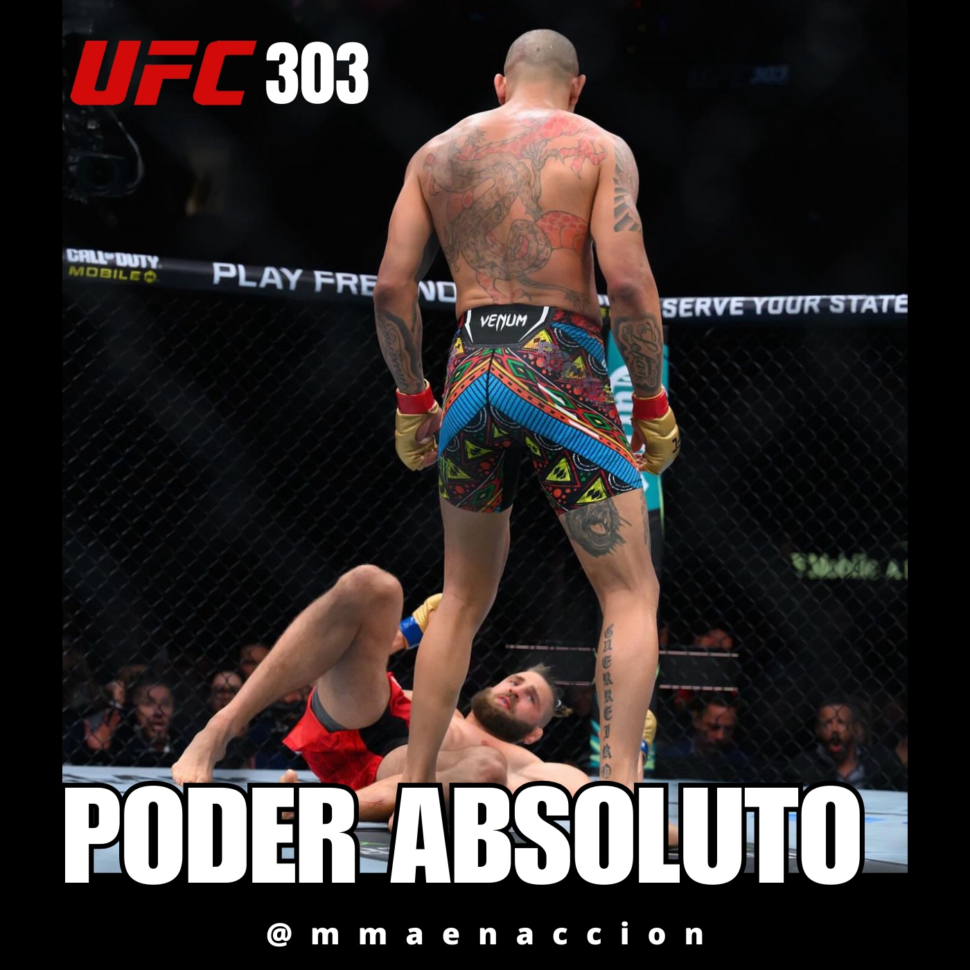 MMA en acción