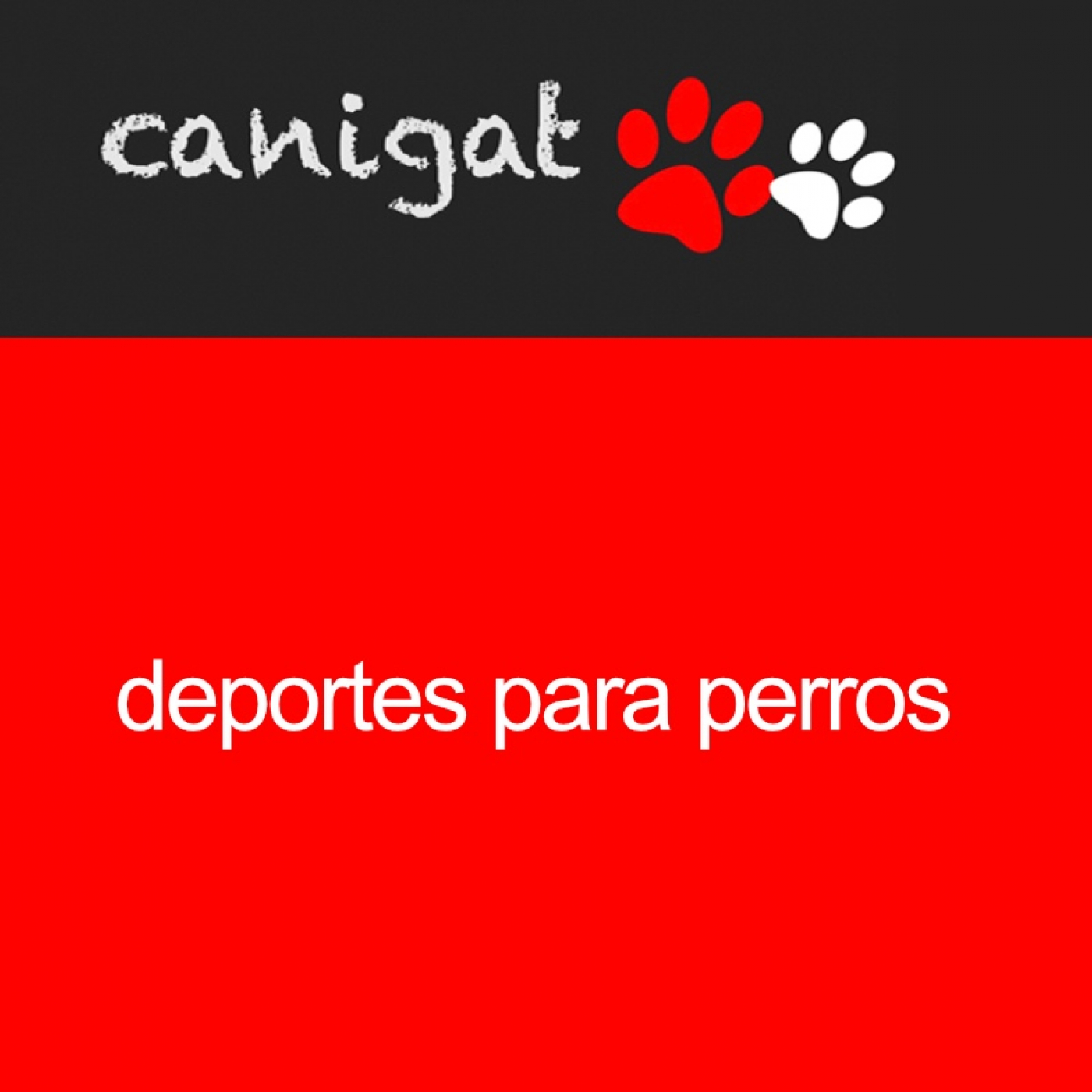 Consejos veterinarios de perros y gatos by canigat