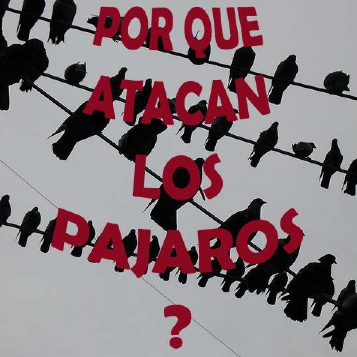 EP 06. Actualidad. Sitges, Back to the Future y Visonados. episode artwork