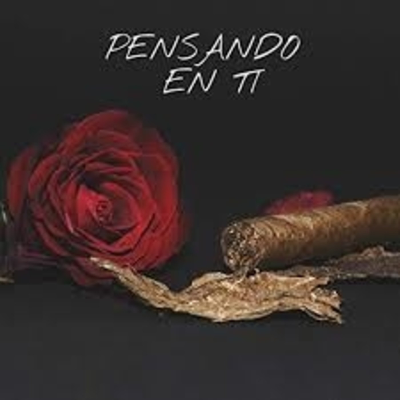 PENSANDO EN TI