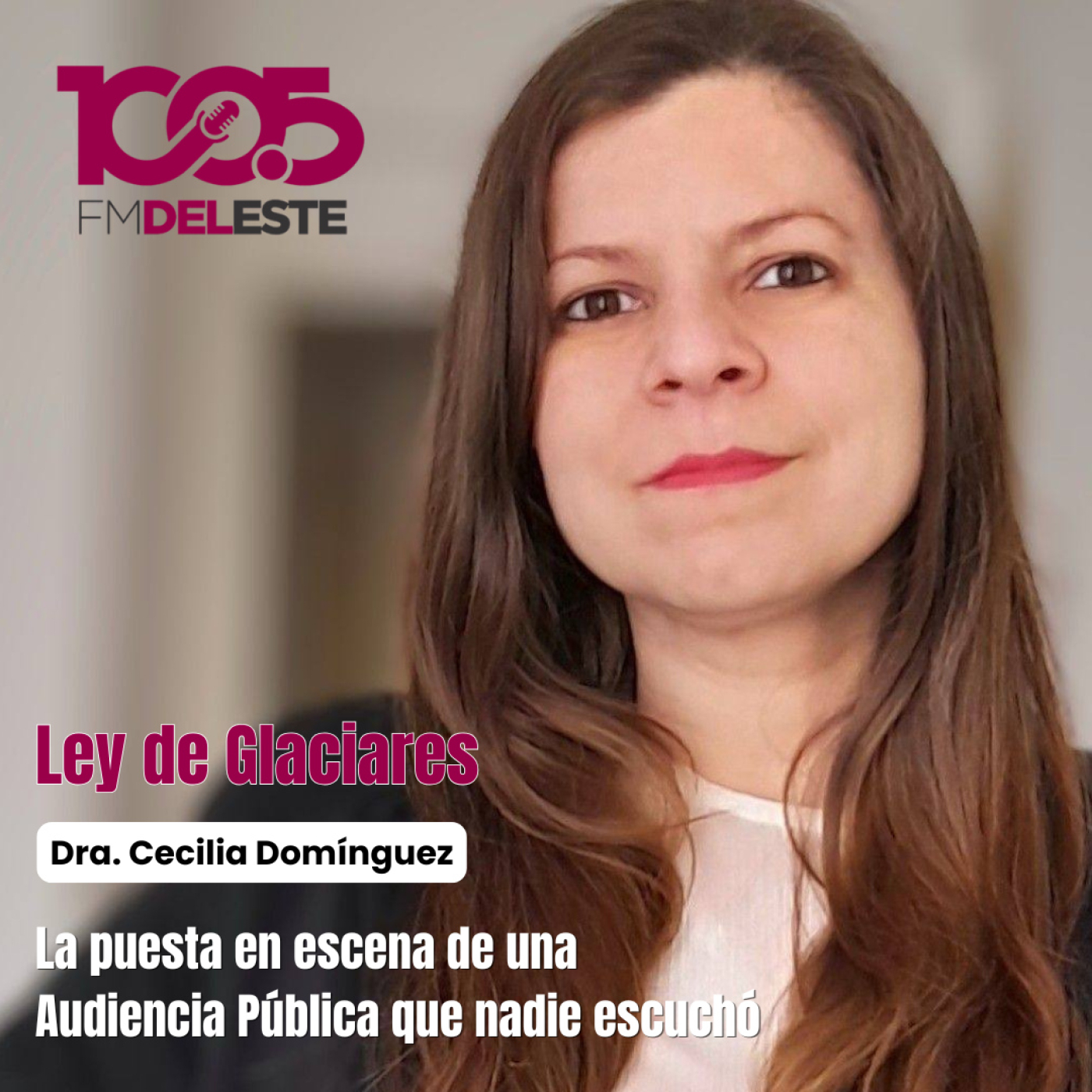 La “audiencia” que nadie escuchó: glaciares, diputados y una participación en crisis episode artwork