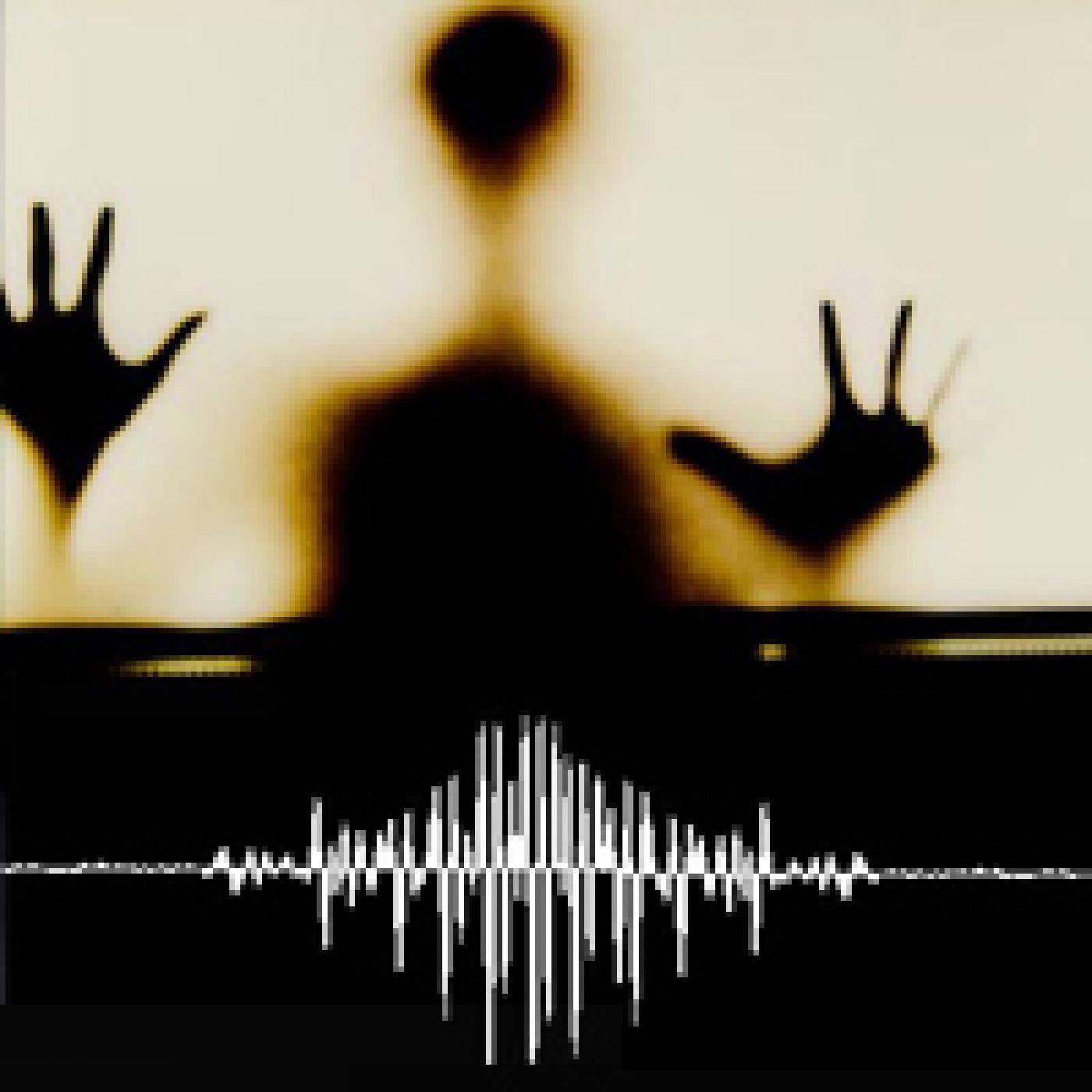 Cartel Paranormal 29-11-15 'El origen de las psicofonías|Psicofonías captadas'