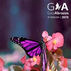 Programa 172 - Gala Solidaria Abrazos 2019
