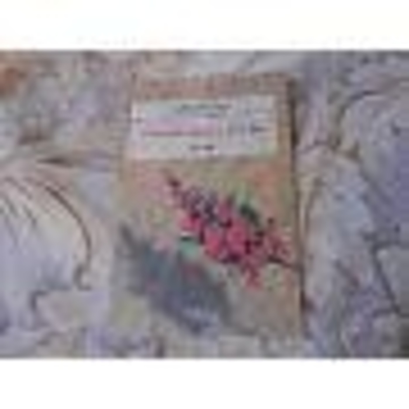 El búho de Minerva FM Feníx 100.3