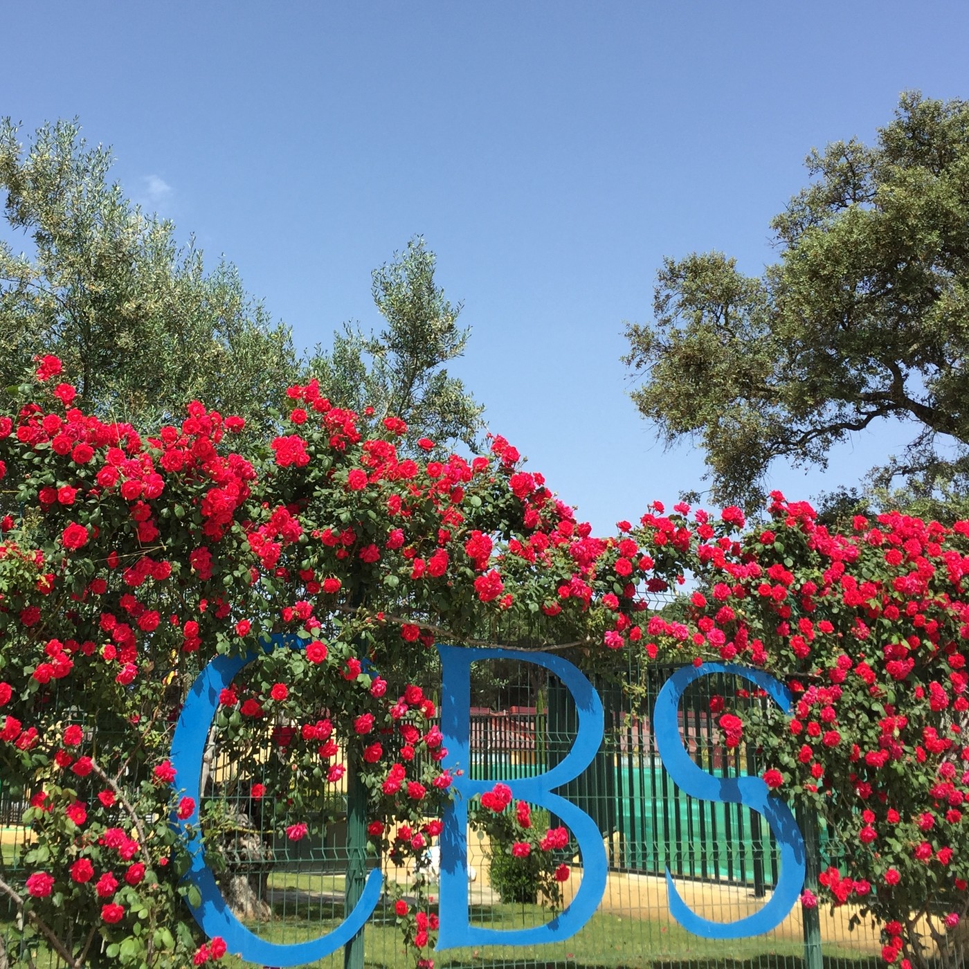 Podcast Colegio Británico de Sevilla