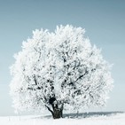 1 Hora Música Chillout Winter, Cool Lounge Selection