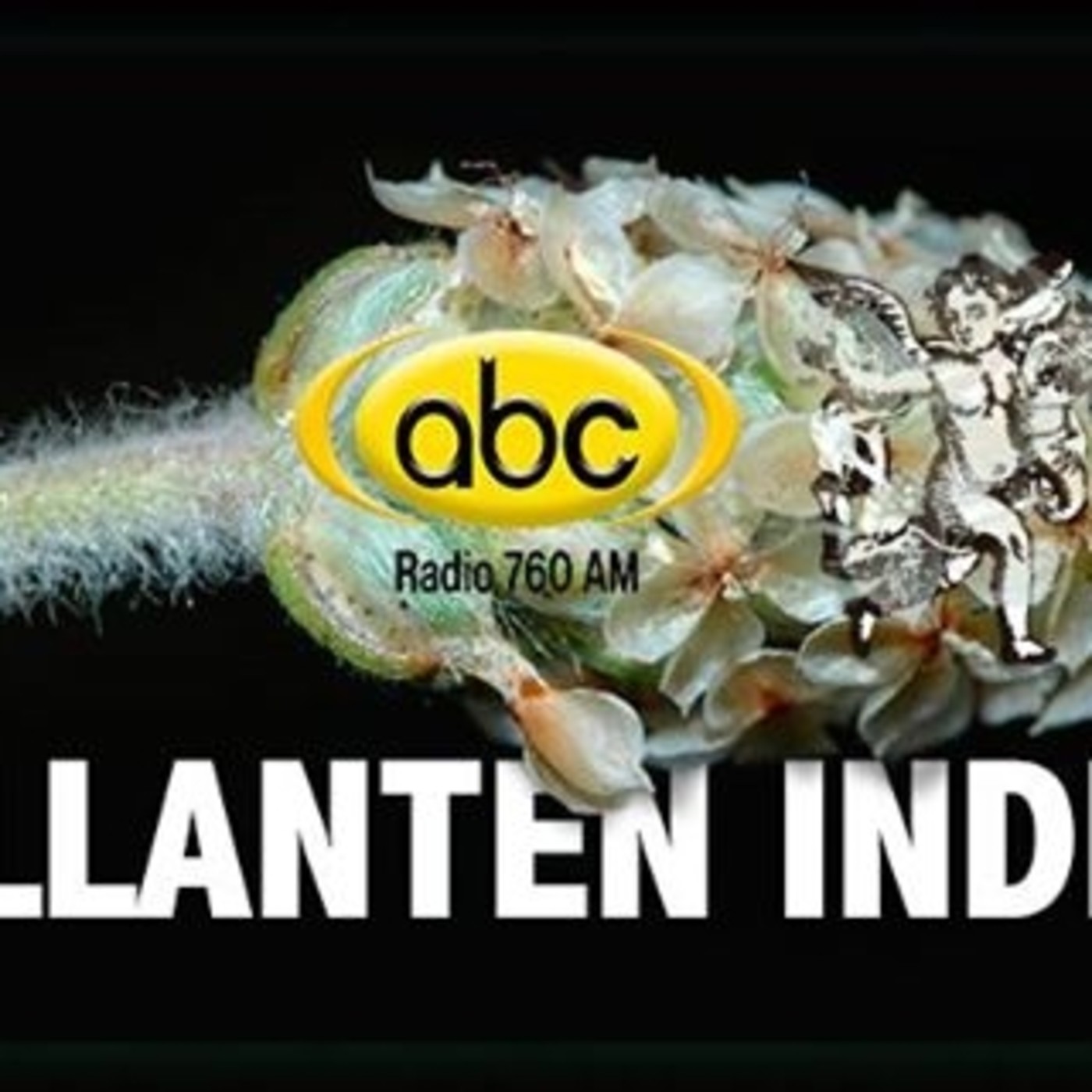 El Ángel de tu salud - LLANTÉN INDIO episode artwork