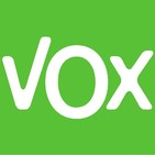 Vox serÍa la segunda fuerza polÍtica tras el 10n