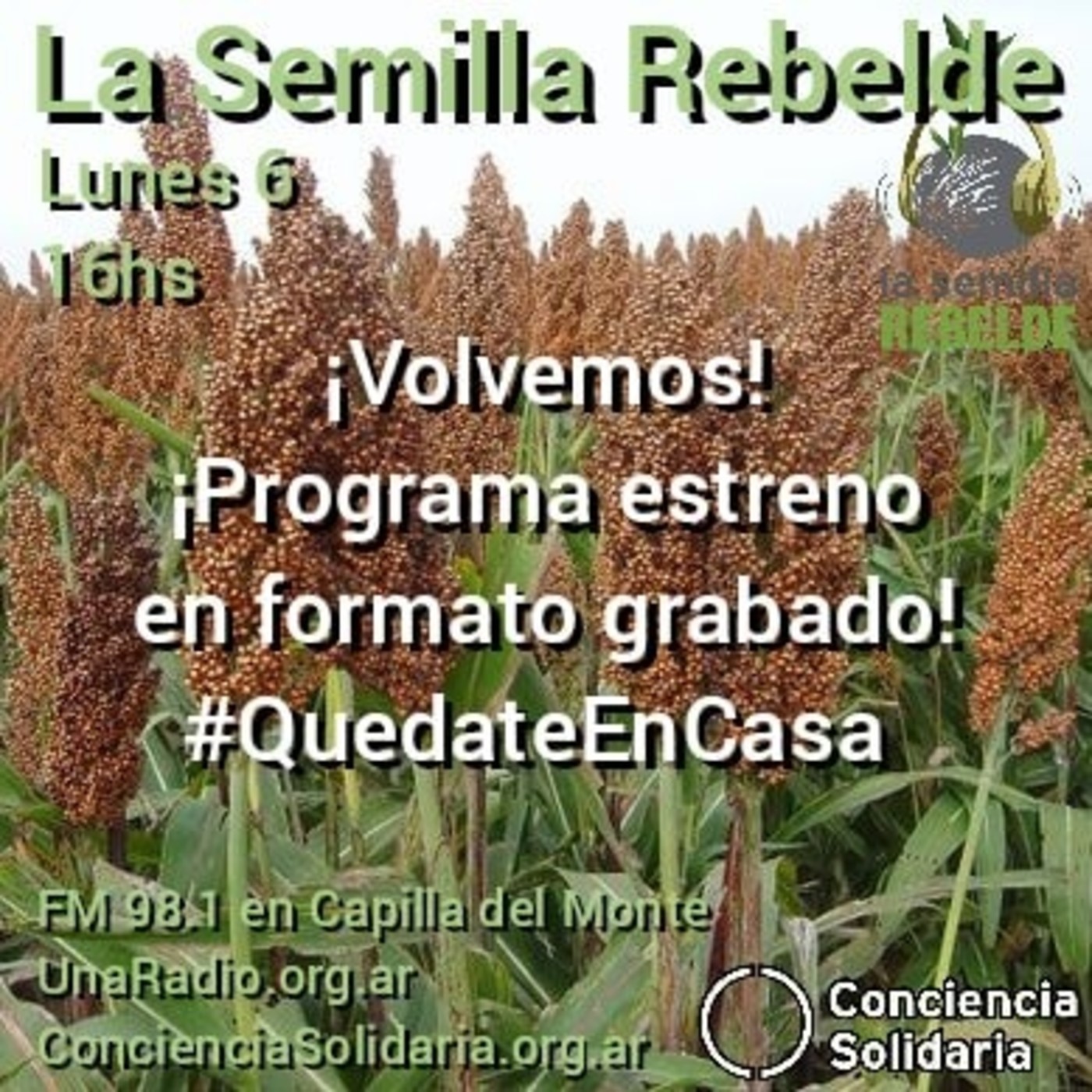 ¡#LaSemillaRebelde! 06.04.2020