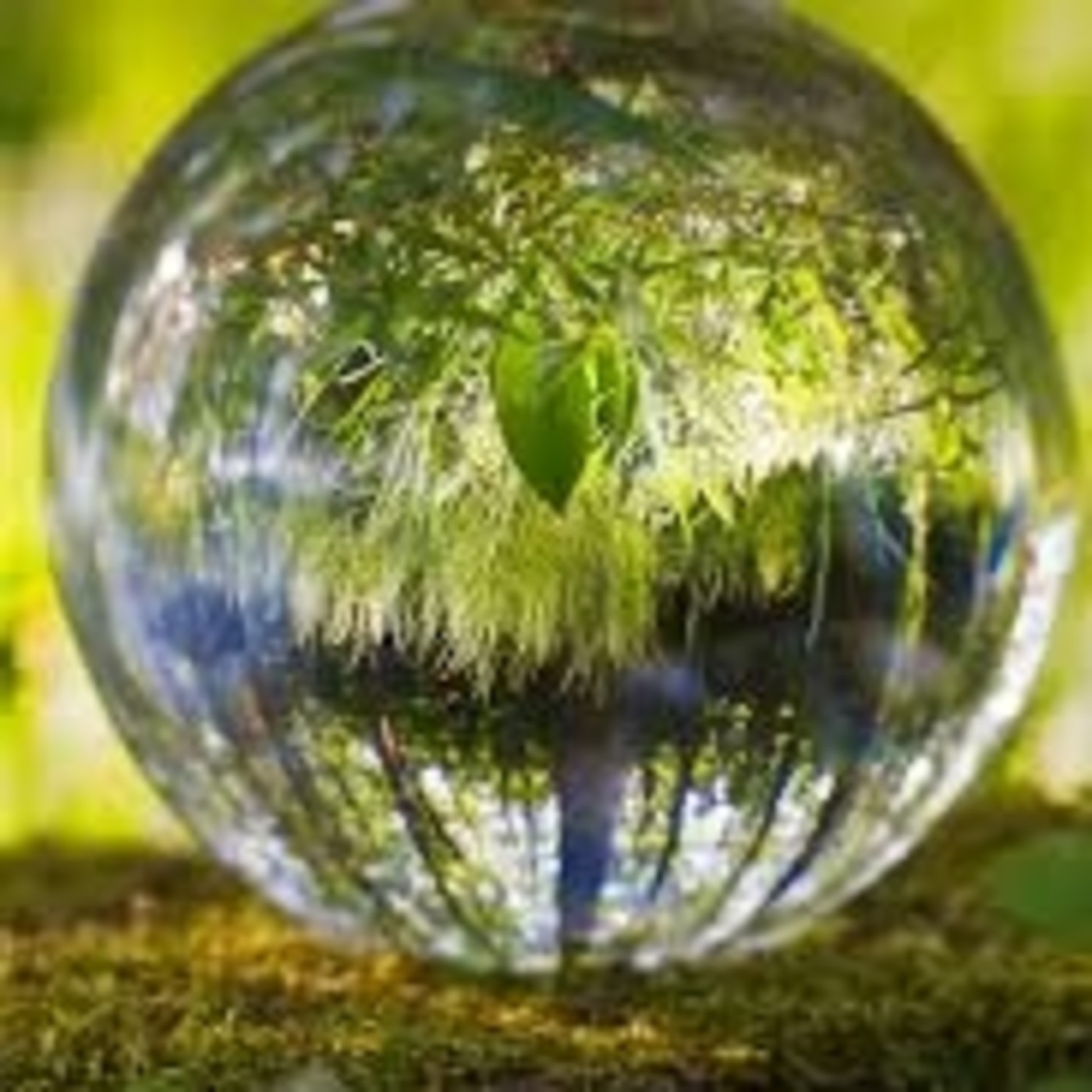 Próxima Estación Esperanza