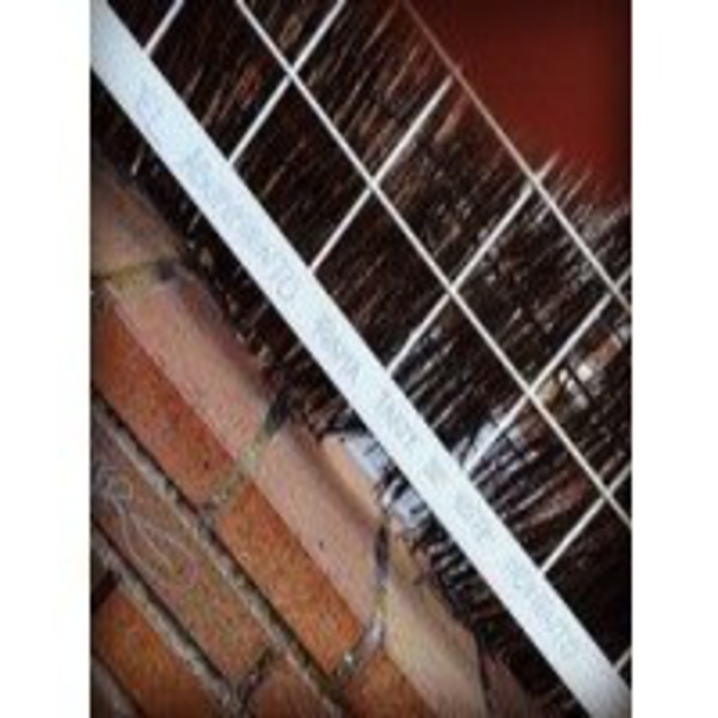 De pájaros y mendrugos de pan - 13/03/14