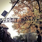 ENIGMAS EXPRESS: Los polacos y el Holocausto