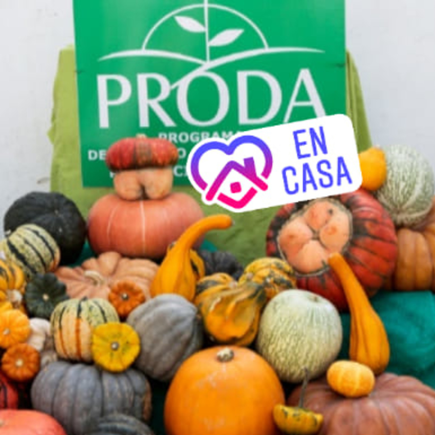 Podcast Comunitario Sayhueque