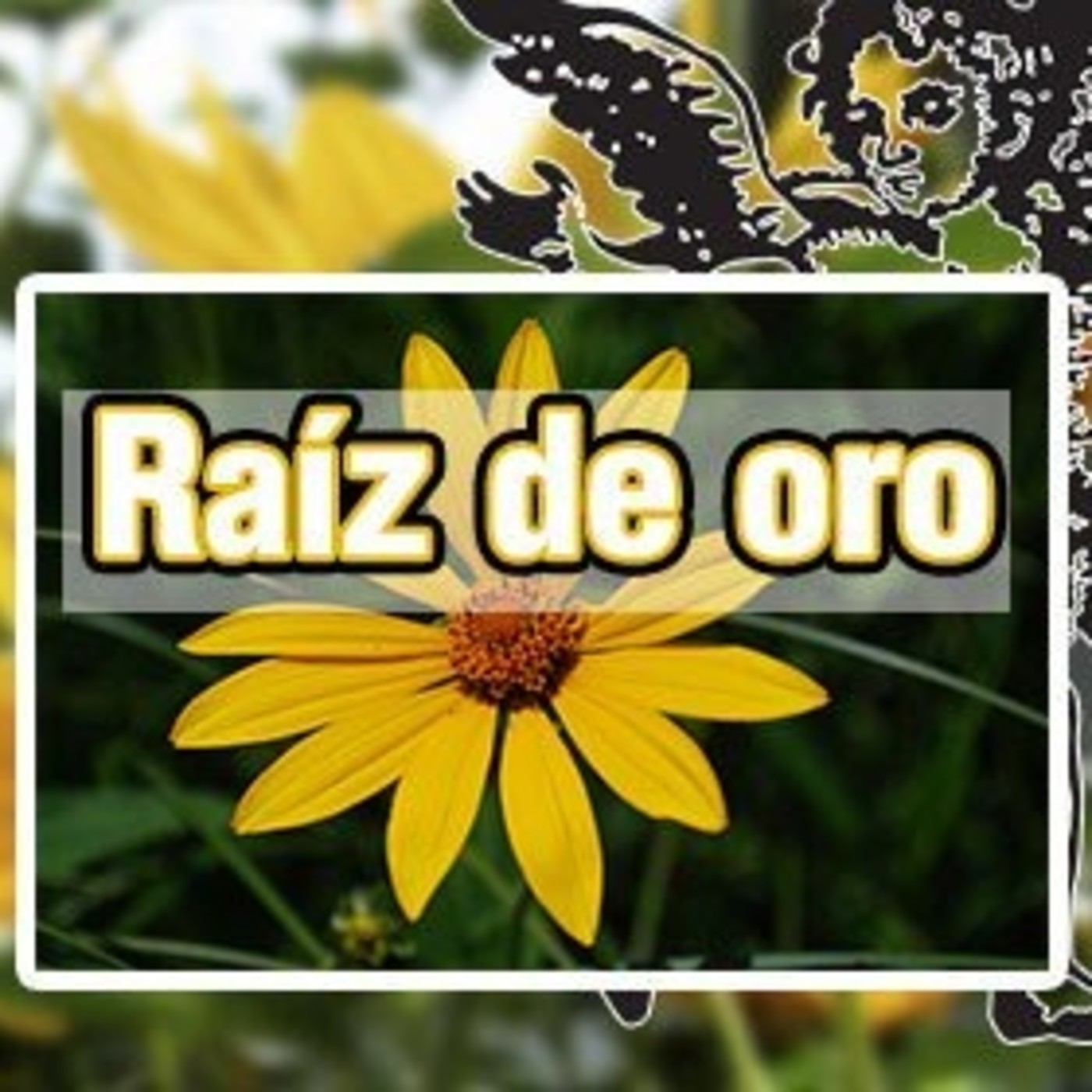 El Ángel de tu Salud - ORO RAÍZ episode artwork
