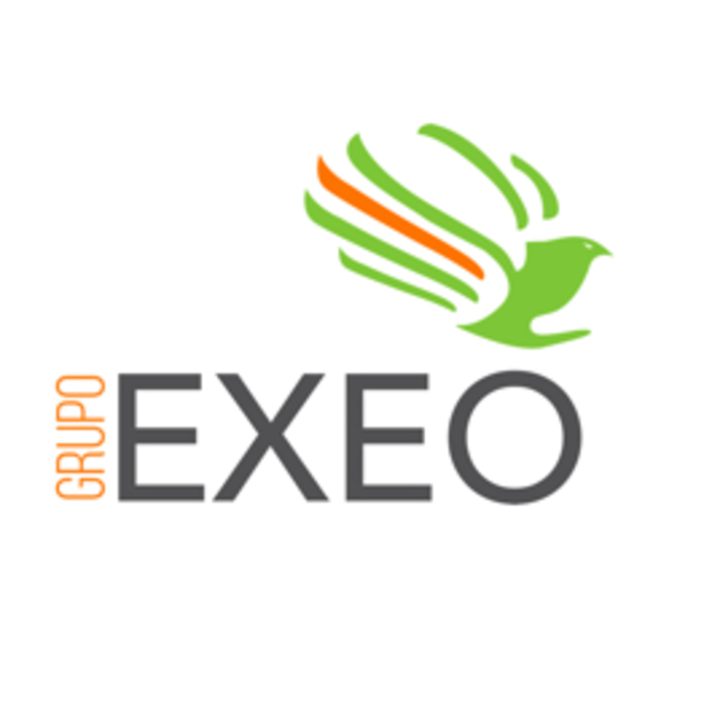 GRUPO EXEO