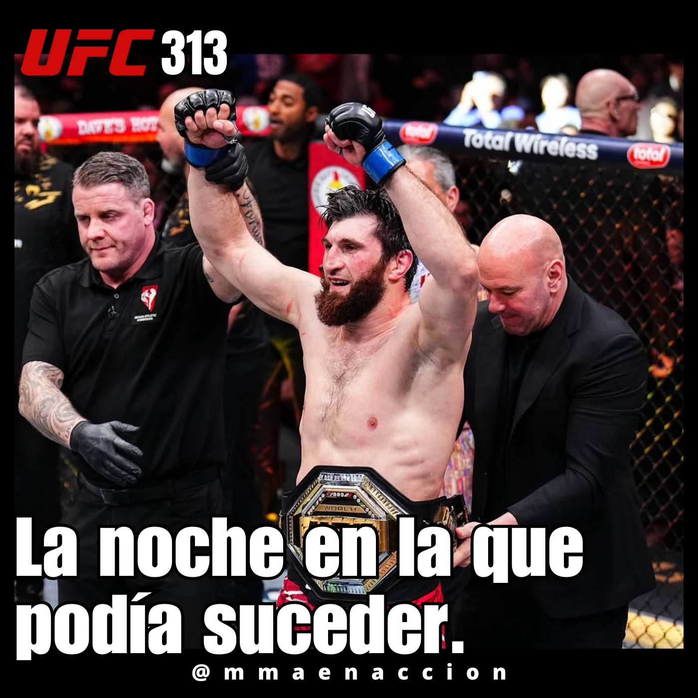 MMA en acción