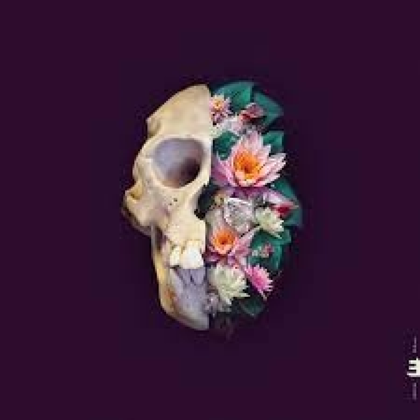 Podcast de Corcovadomusica