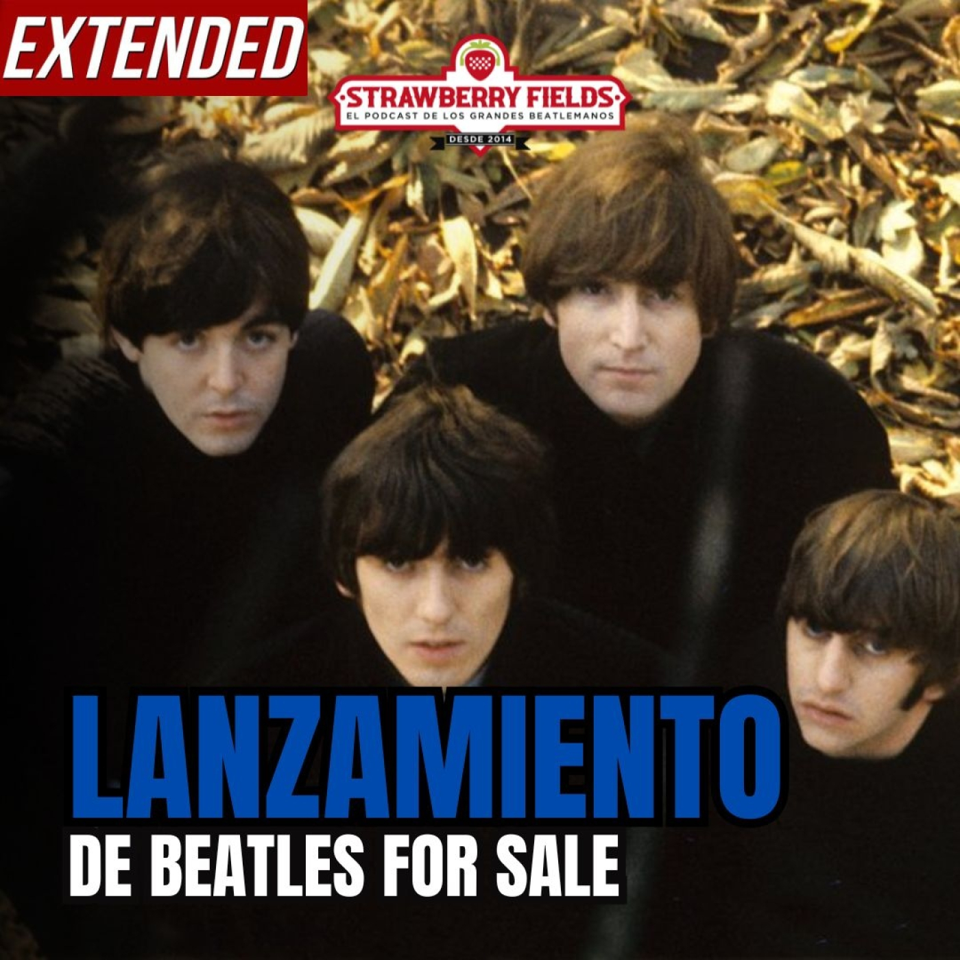 Strawberry Fields Beatles Podcast