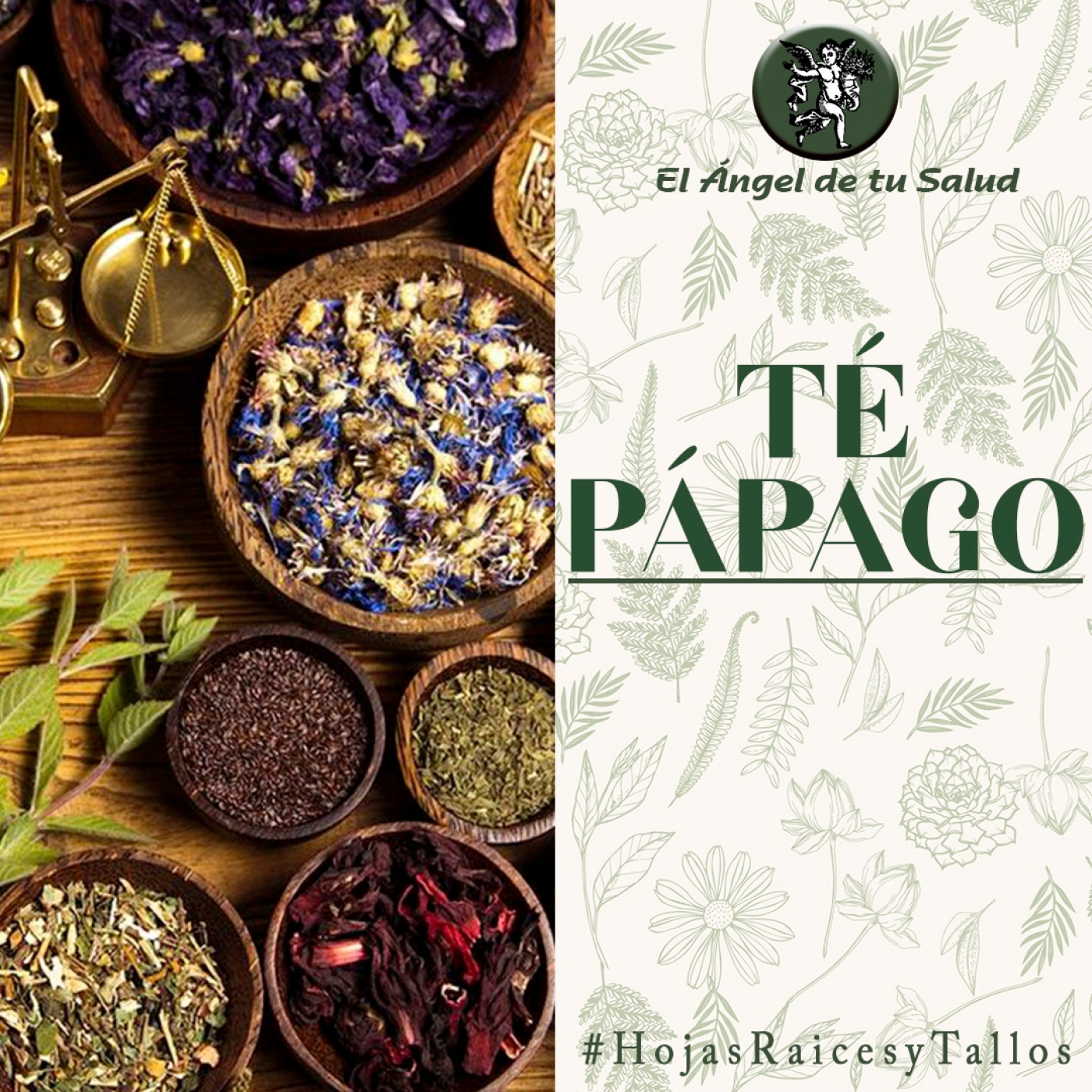 El Ángel de tu Salud - Té Pápago** episode artwork