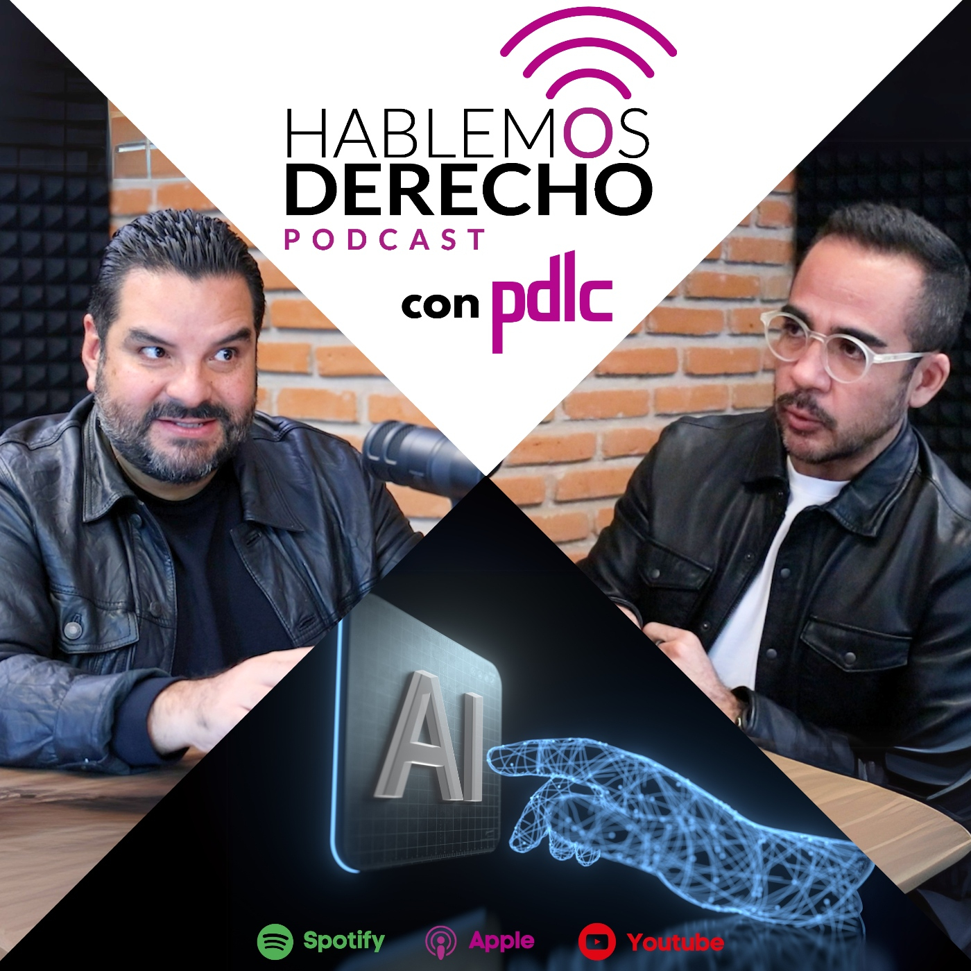 Hablemos Derecho con pdlc