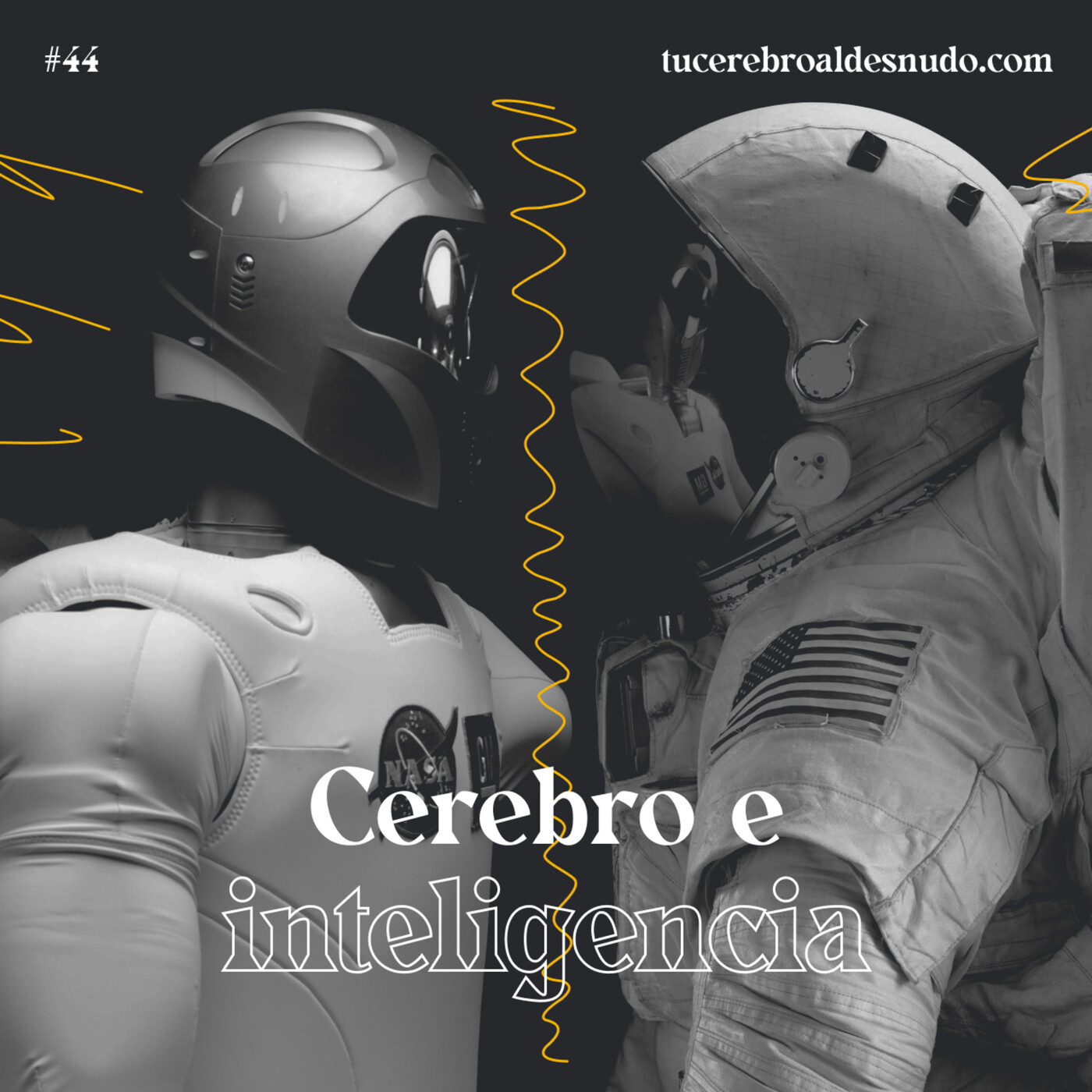 Cerebro Injodible®