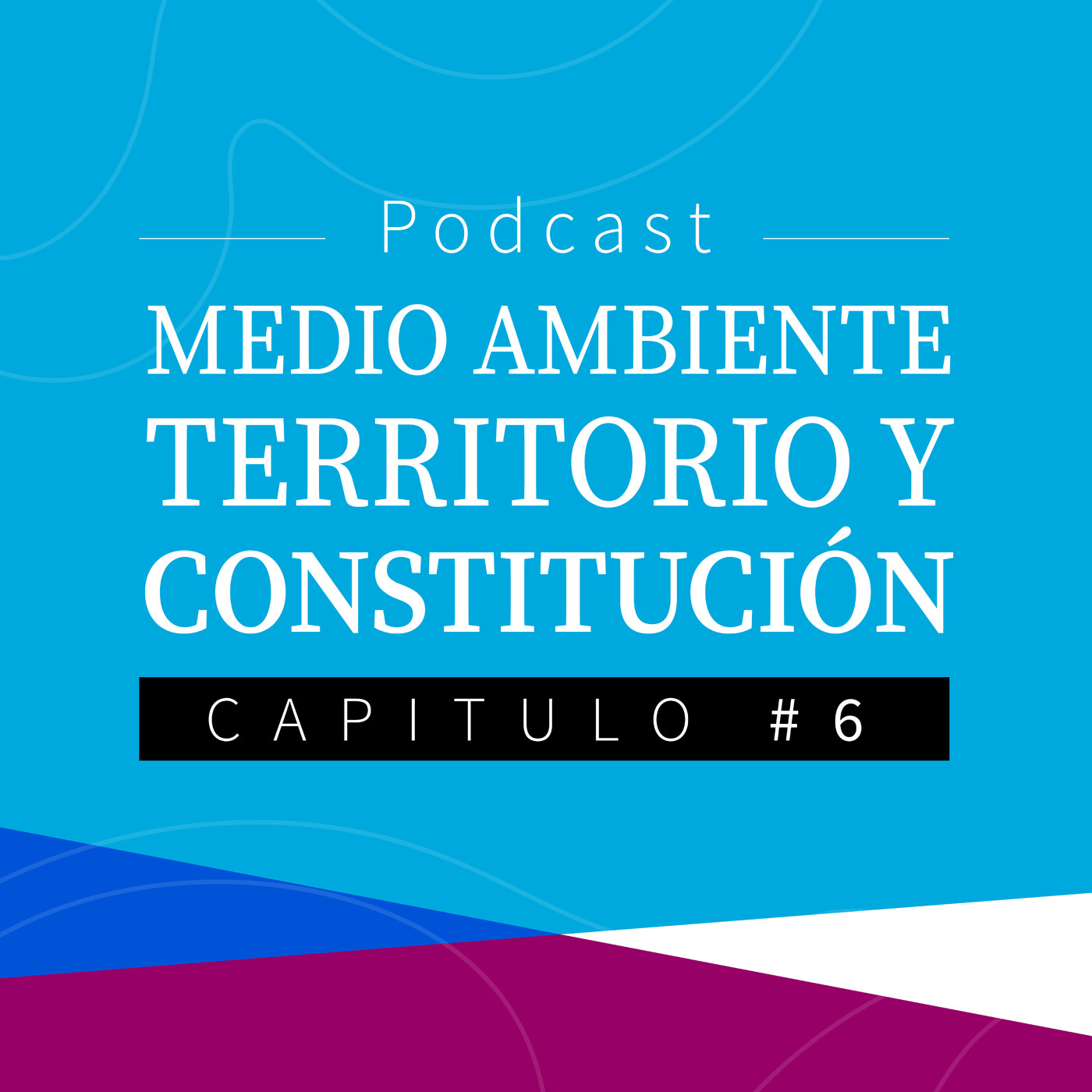 Arica Constituyente