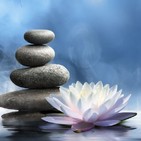 Dia 15- relajación