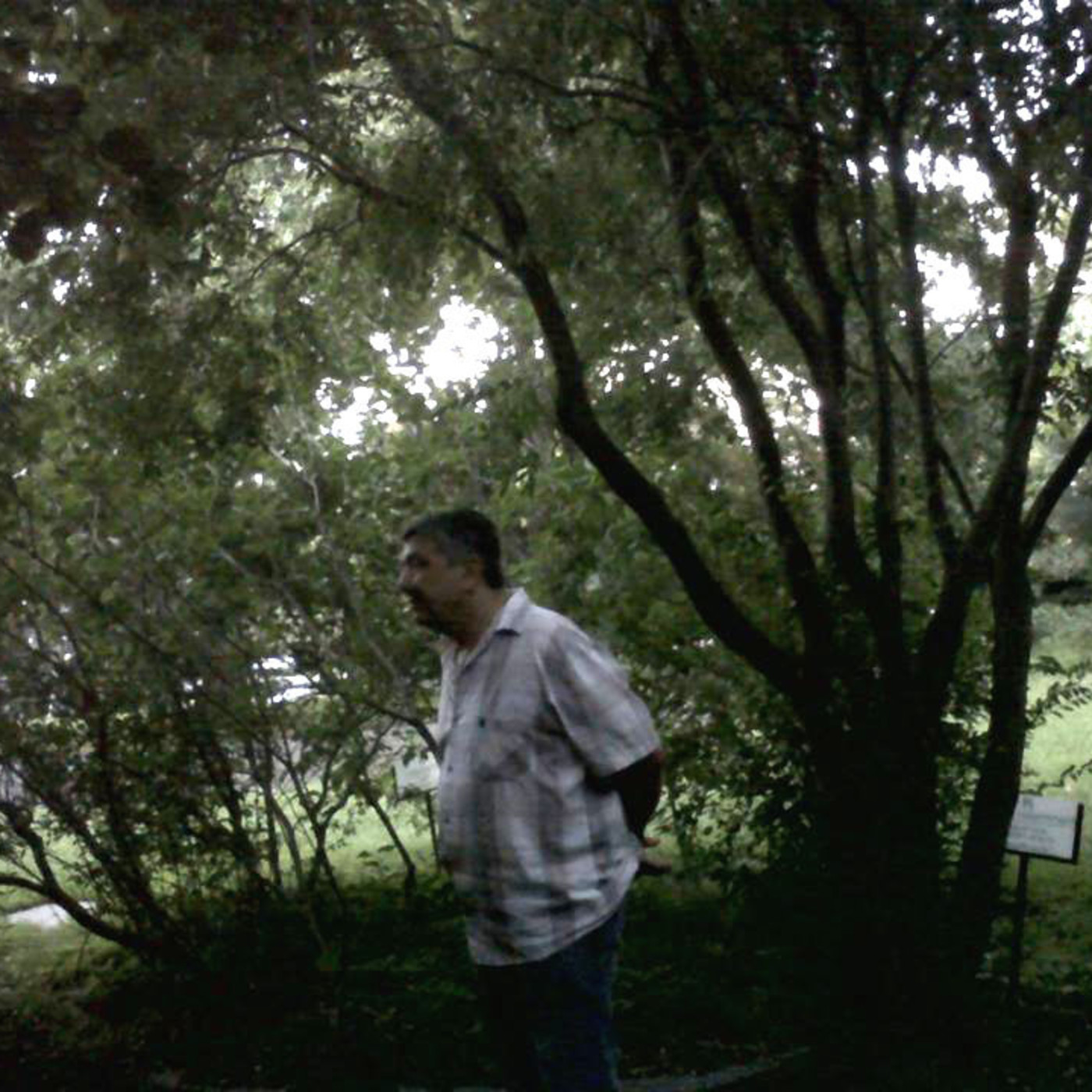 Tardes con poetas ciclo mensual de Carlos Morteo