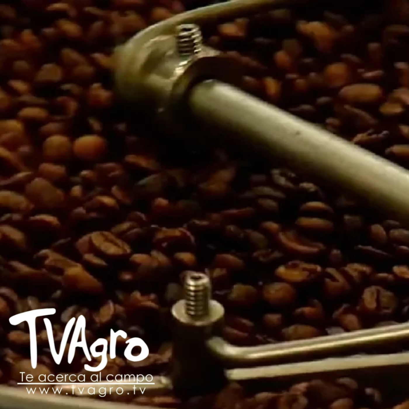 TV AGRO