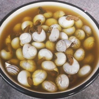 embed image