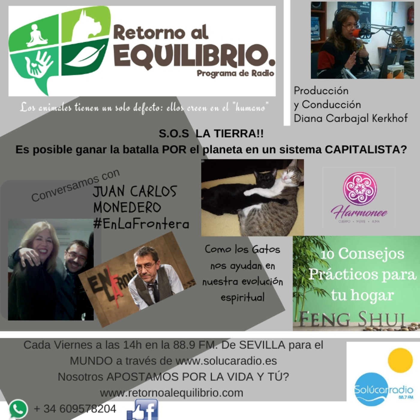 RETORNO AL EQUILIBRIO