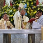 embed image