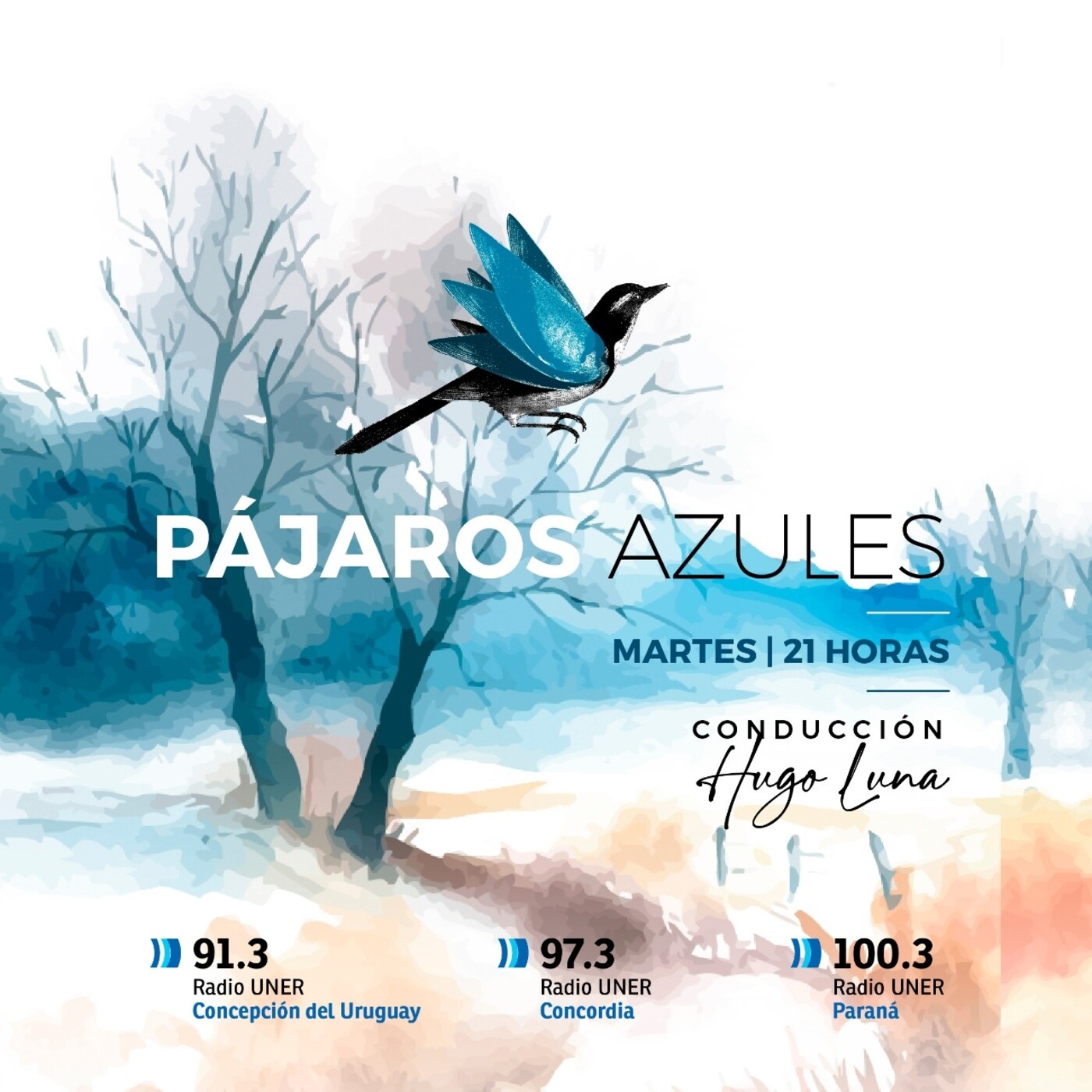 Pájaros Azules
