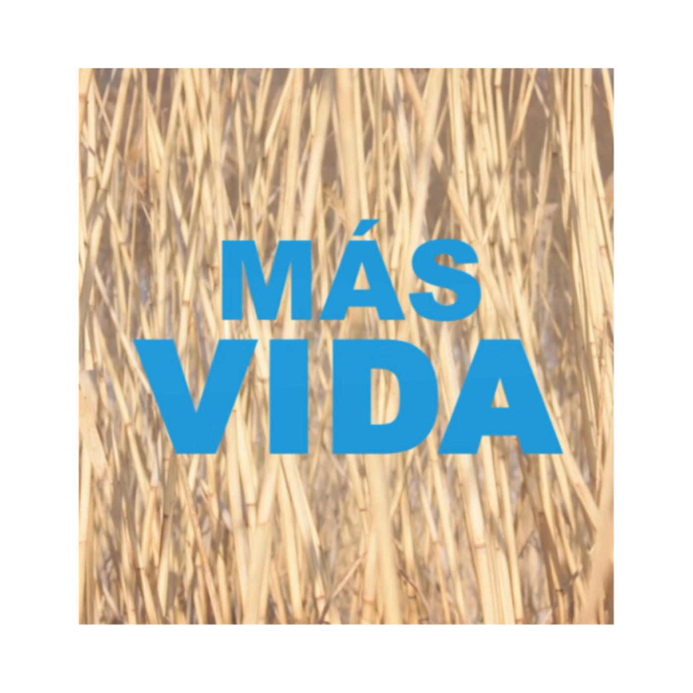 MÁS VIDA