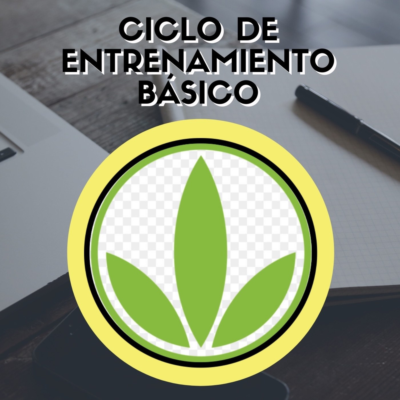 HBL DE LOS PROFESIONALES